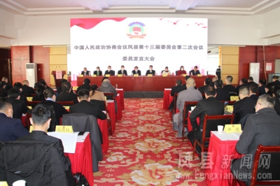 政协凤县第十三届委员会第二次会议举行委员发言大会